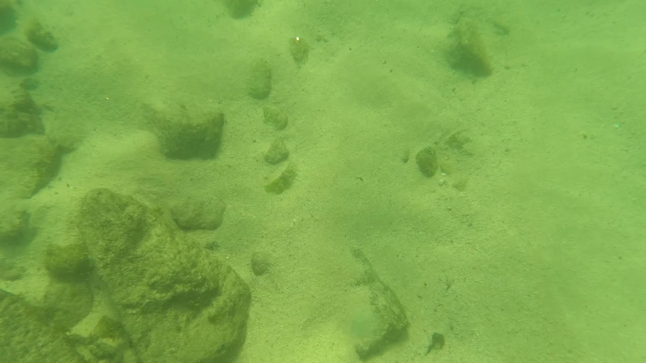 Opening underwater frame in Los Barriles, Baja California Sur, showing green-tinted water over sand and scattered rocks with no visible people.