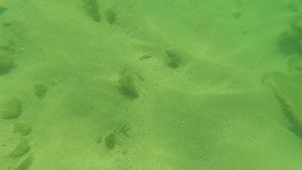 Second frame from Los Barriles shows the sandy bottom continuing across the frame, with isolated rocks and faint small fish shapes in green water, no visible people.