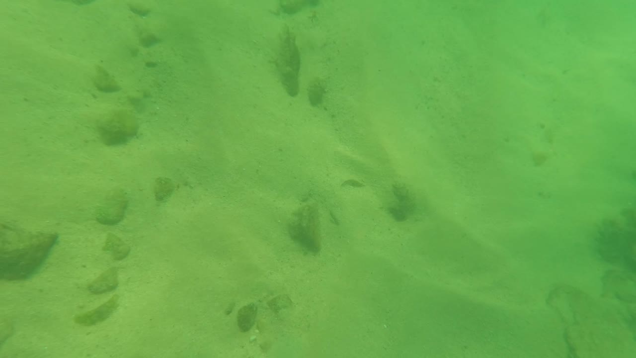 Mid-early frame in Los Barriles with pale sand, scattered stones, and a few darker fish-like shapes suspended near the seabed, no visible people.