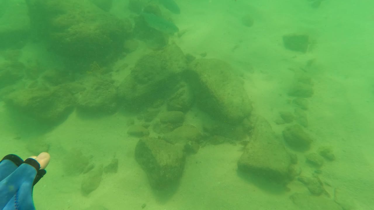 Green-tinted underwater view in Los Barriles, Baja California Sur, with sandy seabed, scattered rocks, small fish, and a partial swimmer leg or fin at the far left edge.