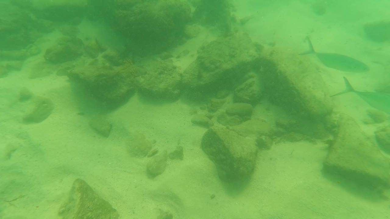Green underwater frame from Los Barriles, Baja California Sur, showing pale sand, large rounded rocks, and open seabed with no visible people.