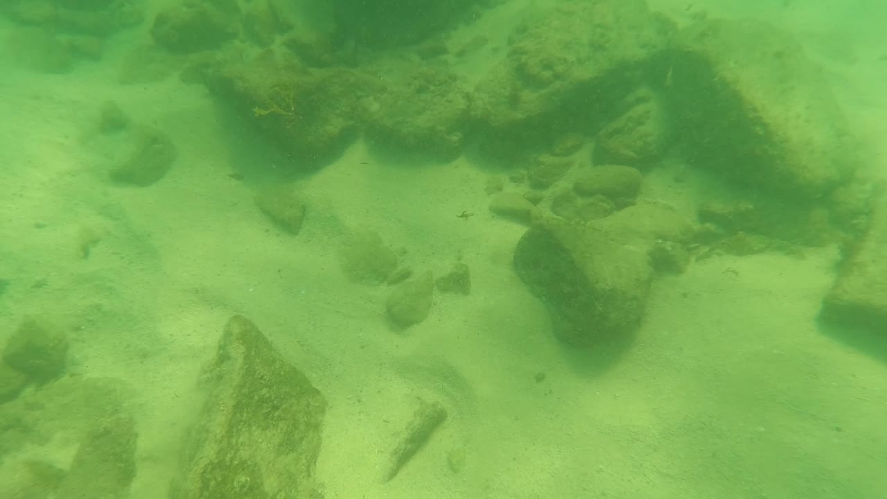 Small fish move through green water above the sandy seabed and scattered rocks in Los Barriles, Baja California Sur, with no visible people.