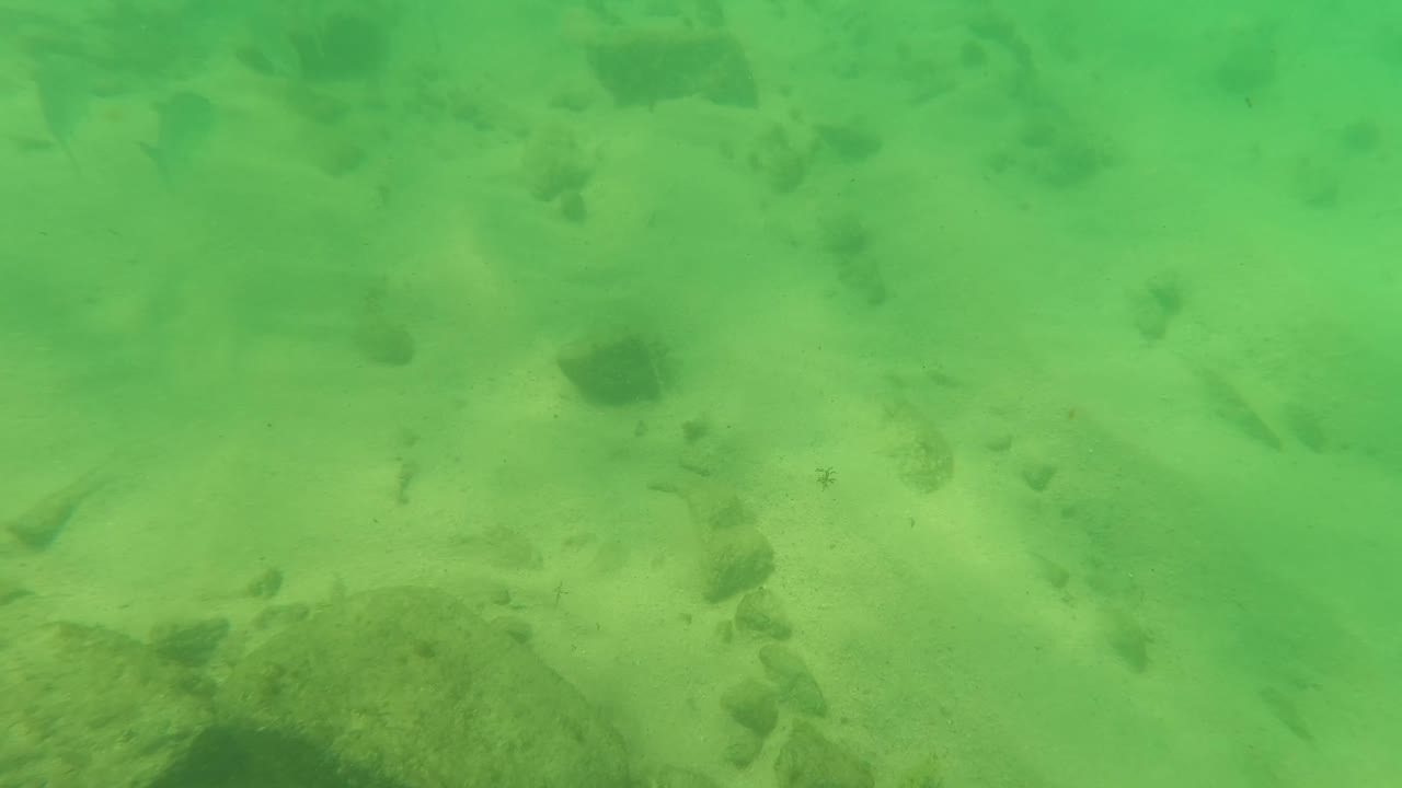 Opening underwater frame in Los Barriles, Baja California Sur, Mexico, showing green water over sandy seabed with scattered dark rocks and no visible people.