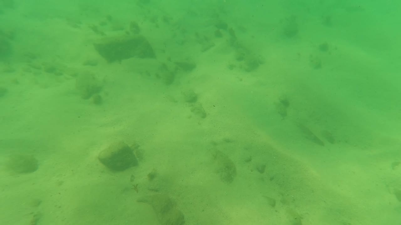 Underwater seabed frame in Los Barriles showing pale sand, scattered rocks, soft green water, faint marine vegetation, and no visible people.