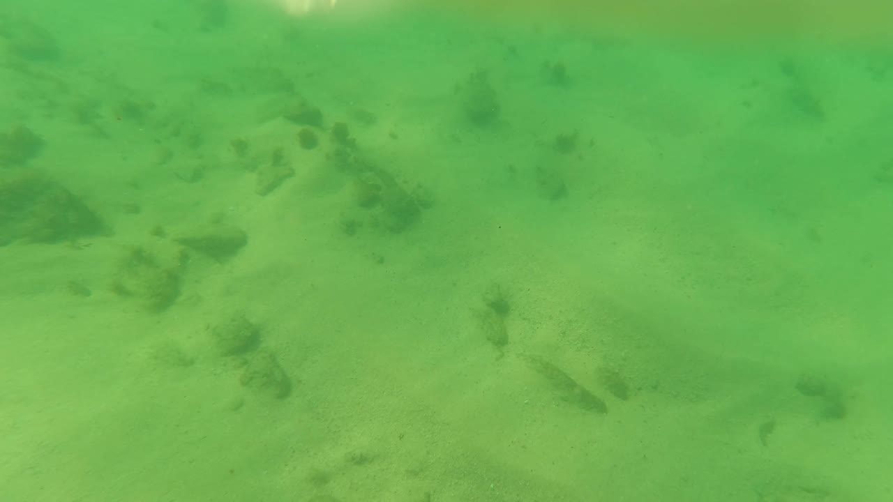 Mid-clip underwater view from Los Barriles with a sandy bottom, several darker rock patches, small fish-like forms, and no visible people.
