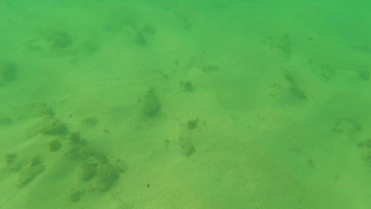 Later underwater frame in Los Barriles showing green water, sand, scattered rocks, a few wisps of marine vegetation, and no visible people.