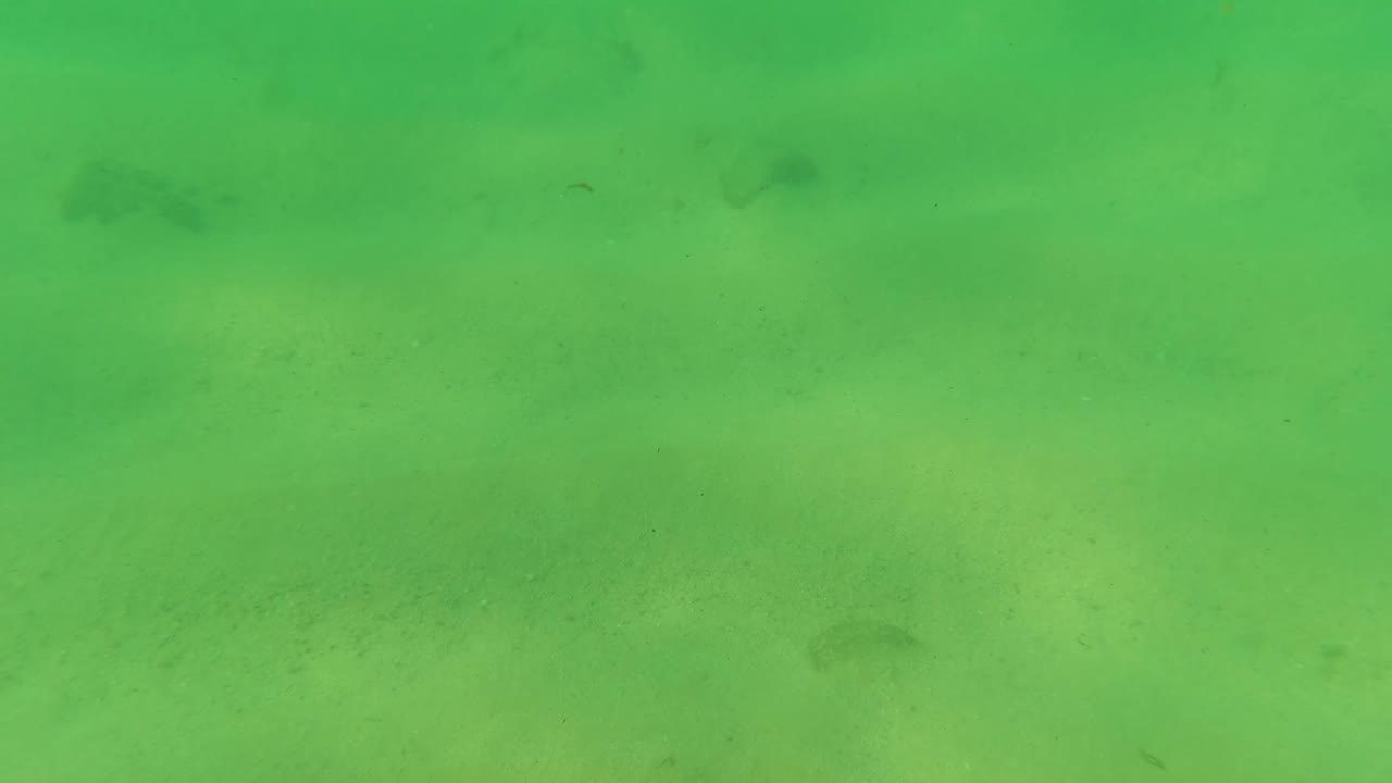 Green underwater frame from Los Barriles, Baja California Sur, showing faint fish silhouettes across the sandy seabed, with no visible people.