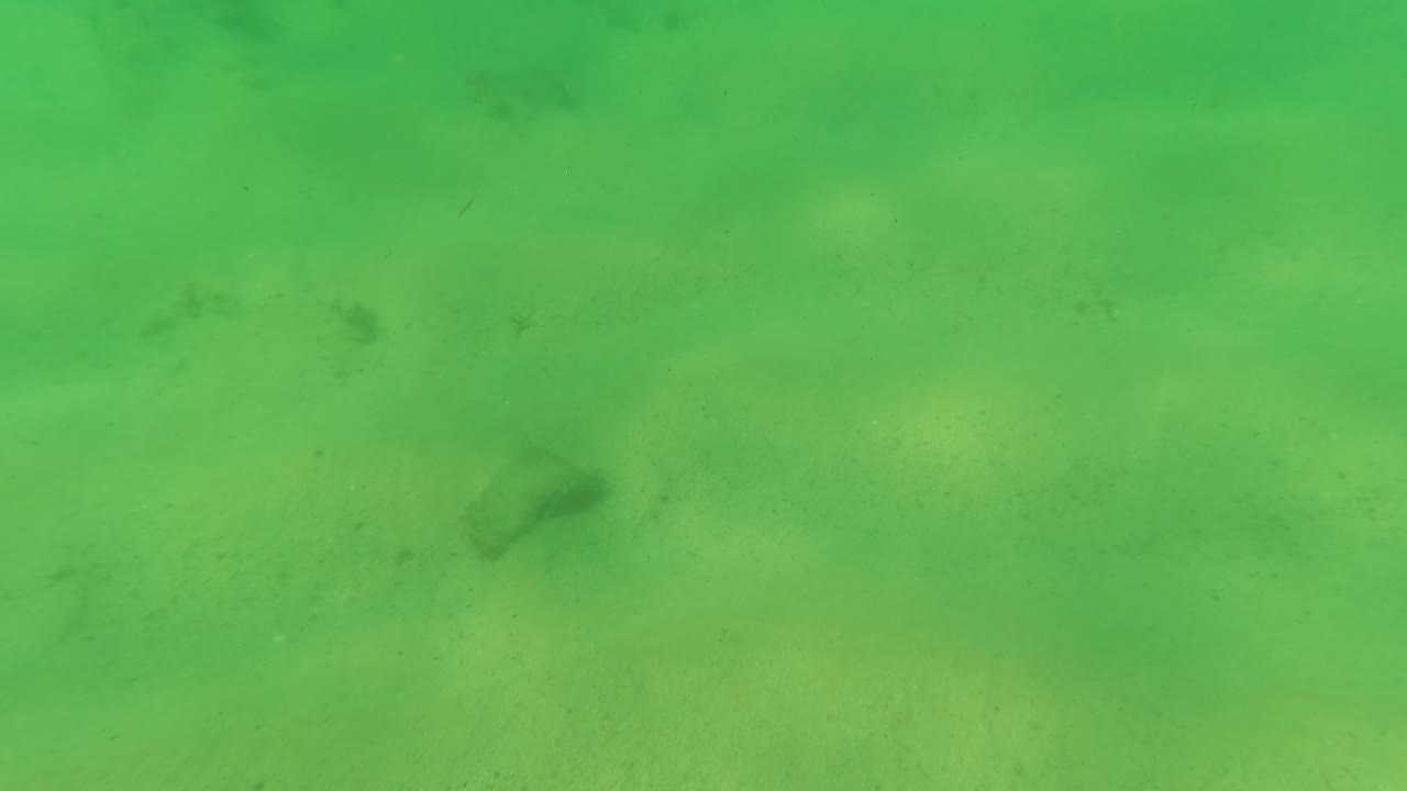 Underwater Los Barriles frame with darker fish shapes near the sand, green-tinted water, light bands, and no visible people.