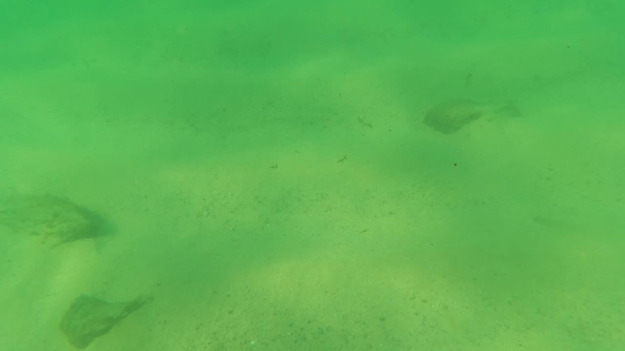 At 0:00, a green underwater view in Los Barriles, Baja California Sur shows sandy seafloor, several dark rocks or seabed patches, small fish, suspended particles, and no visible people.