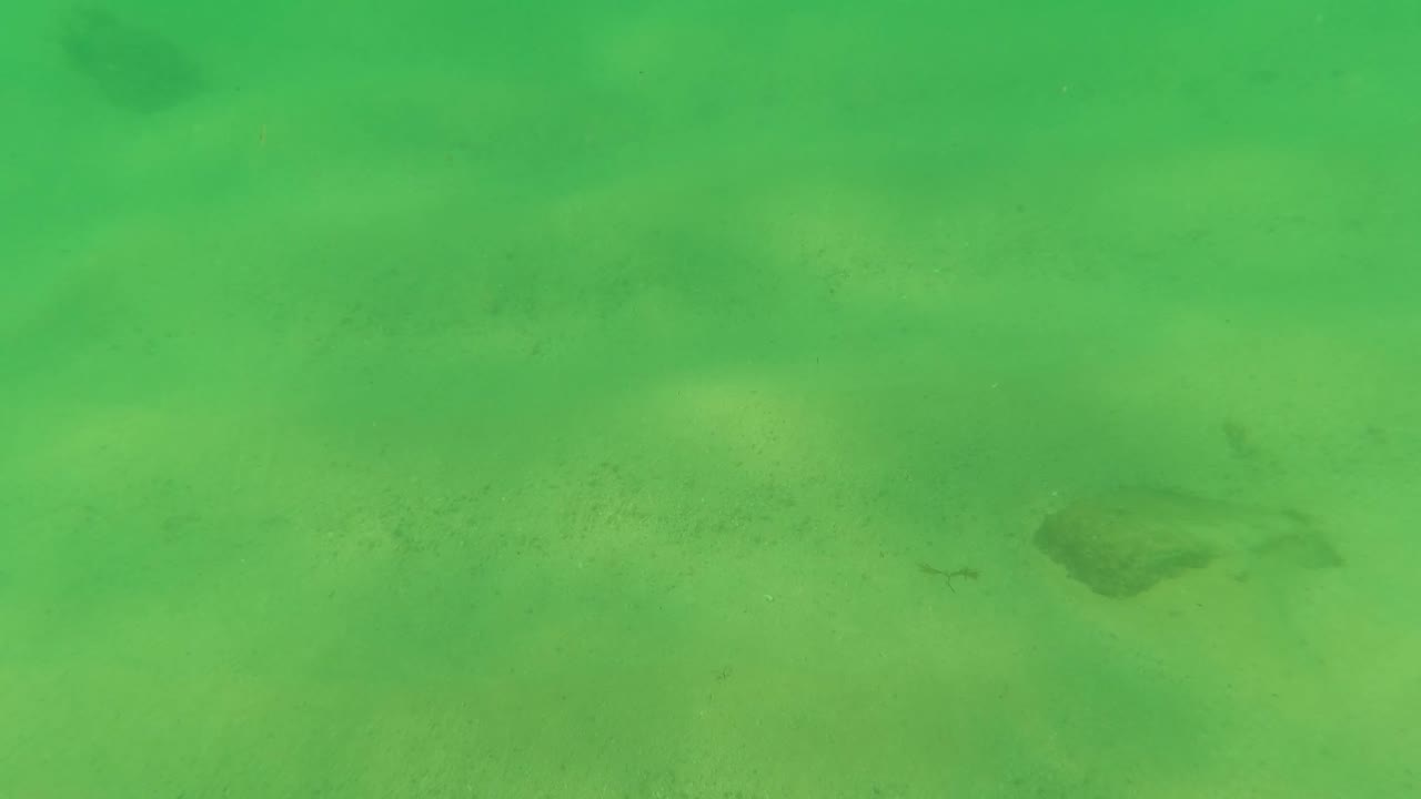 At 0:01, the Los Barriles underwater view shows pale sand under green water, faint small fish near the seafloor, darker seabed patches, floating particles, and no visible people.