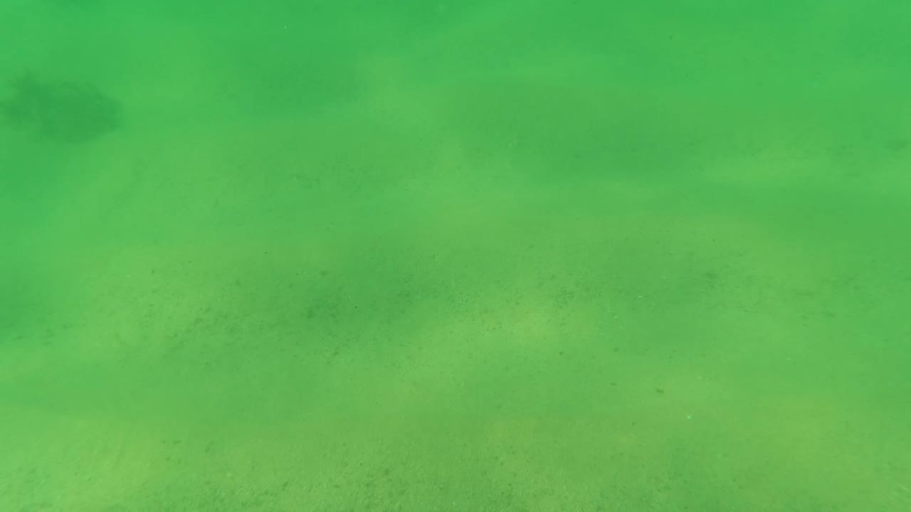 At 0:02, a green-tinted underwater frame from Los Barriles shows sandy bottom, a larger dark patch toward the right, small fish in the water column, fine particles, and no visible people.