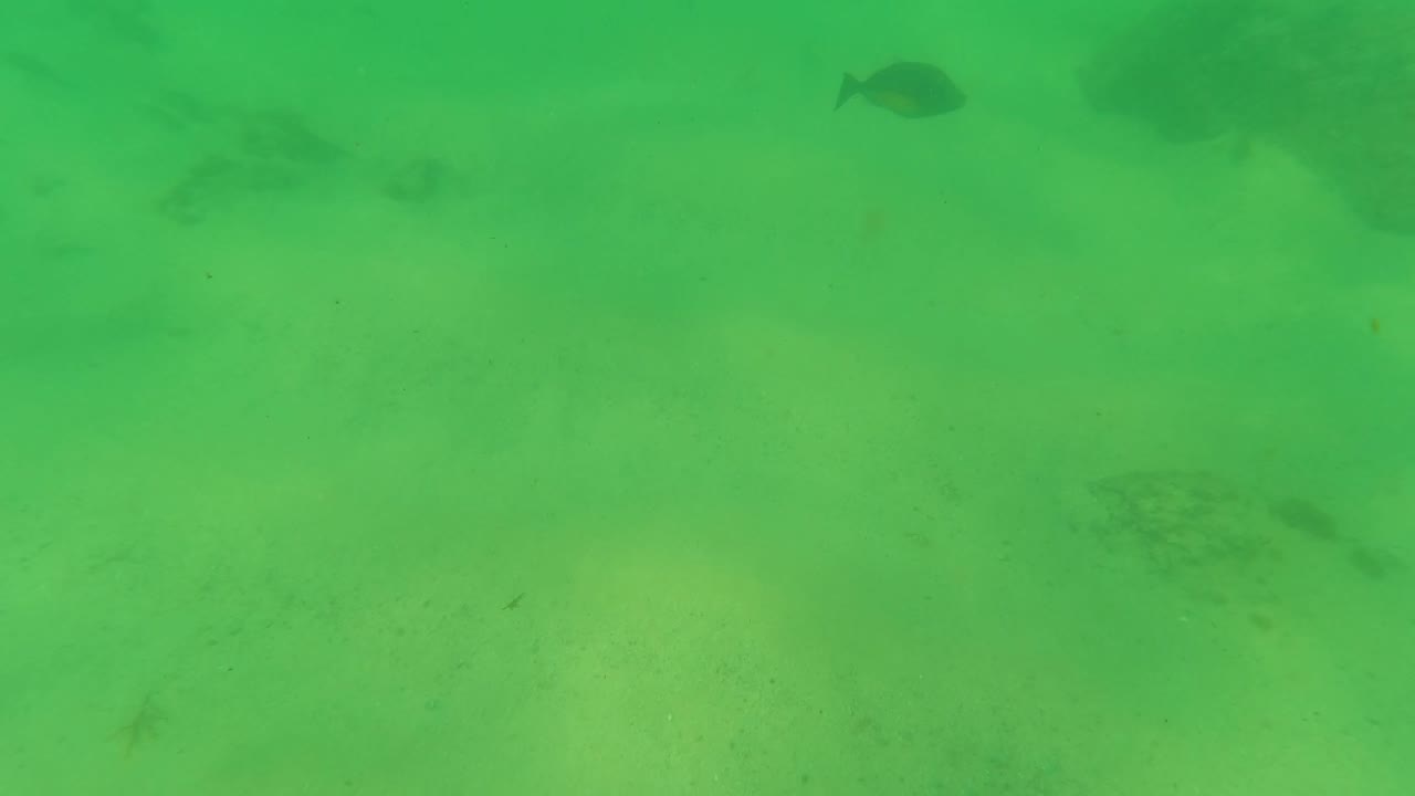Mid-clip frame from Los Barriles showing hazy green water, sandy seafloor texture, faint fish shapes, and no visible people.