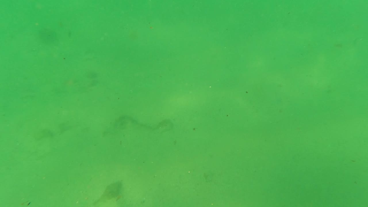 Second frame from Los Barriles, Baja California Sur with green water over pale sand, small suspended specks, faint shadowy seabed marks, and no visible people.