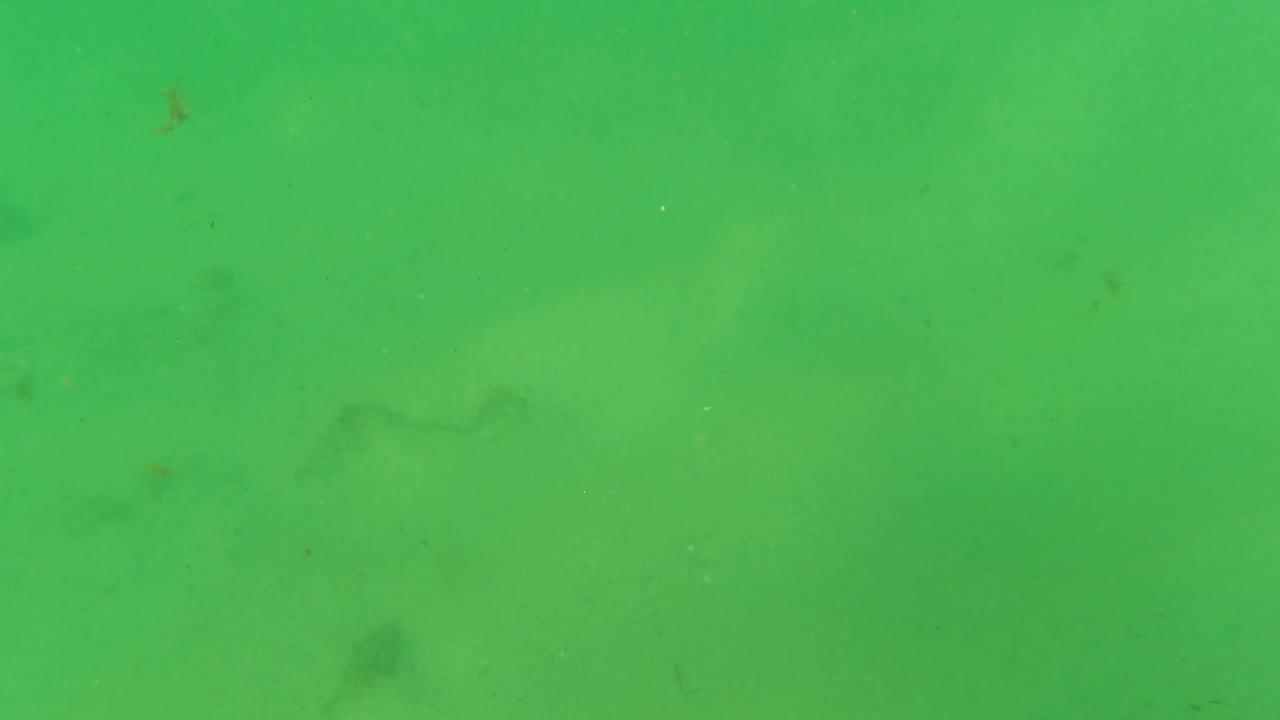 Mid-early frame from Los Barriles, Baja California Sur showing a mostly empty underwater sand field, green water haze, scattered particles, and no visible people.