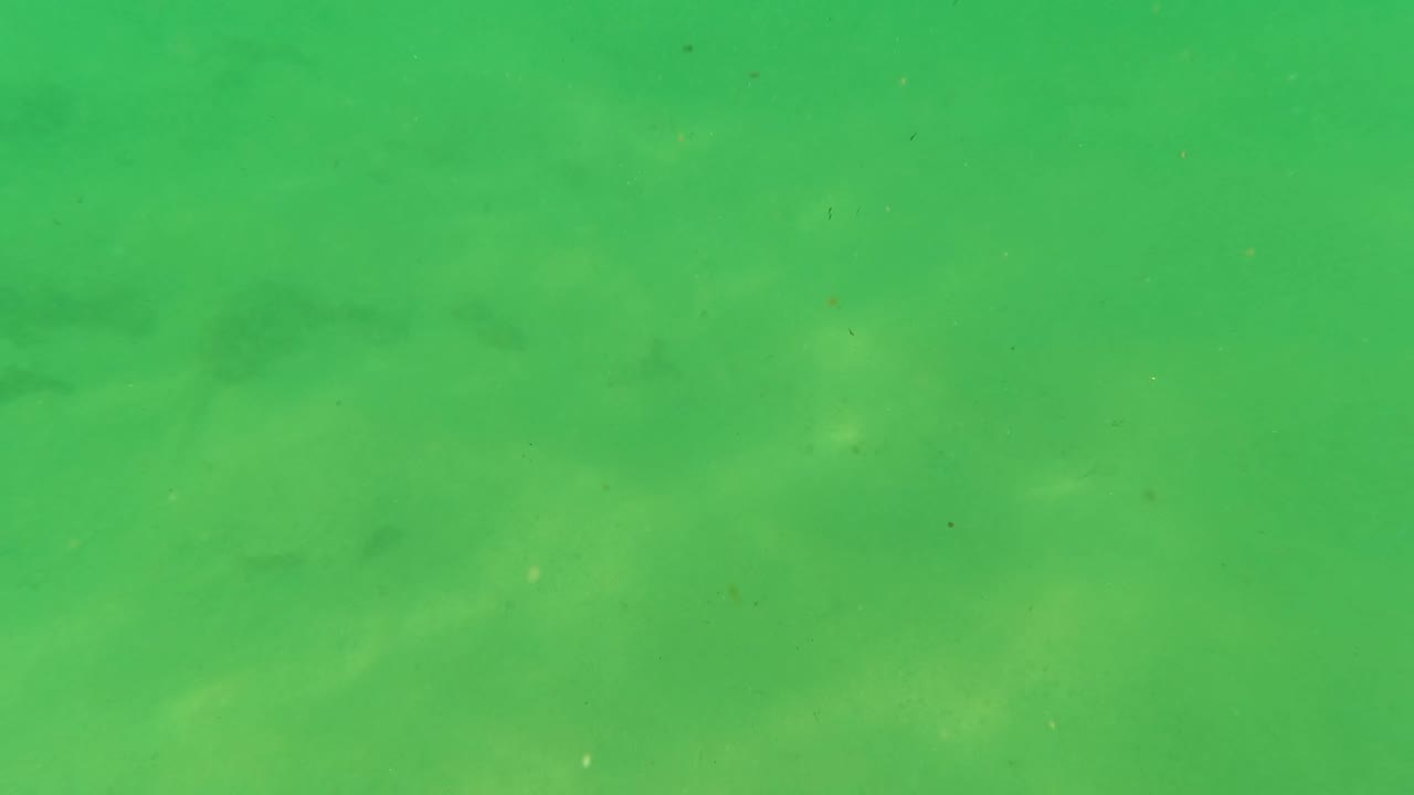 Opening underwater frame from Los Barriles, Baja California Sur, showing green shallow water over a sandy bottom with faint small fish shapes and no visible people.