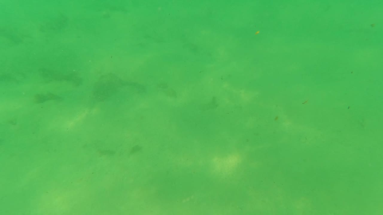 Mid-clip underwater frame from Los Barriles, Baja California Sur, where the sandy seabed appears soft beneath green water and faint small fish remain in the midground, with no visible people.