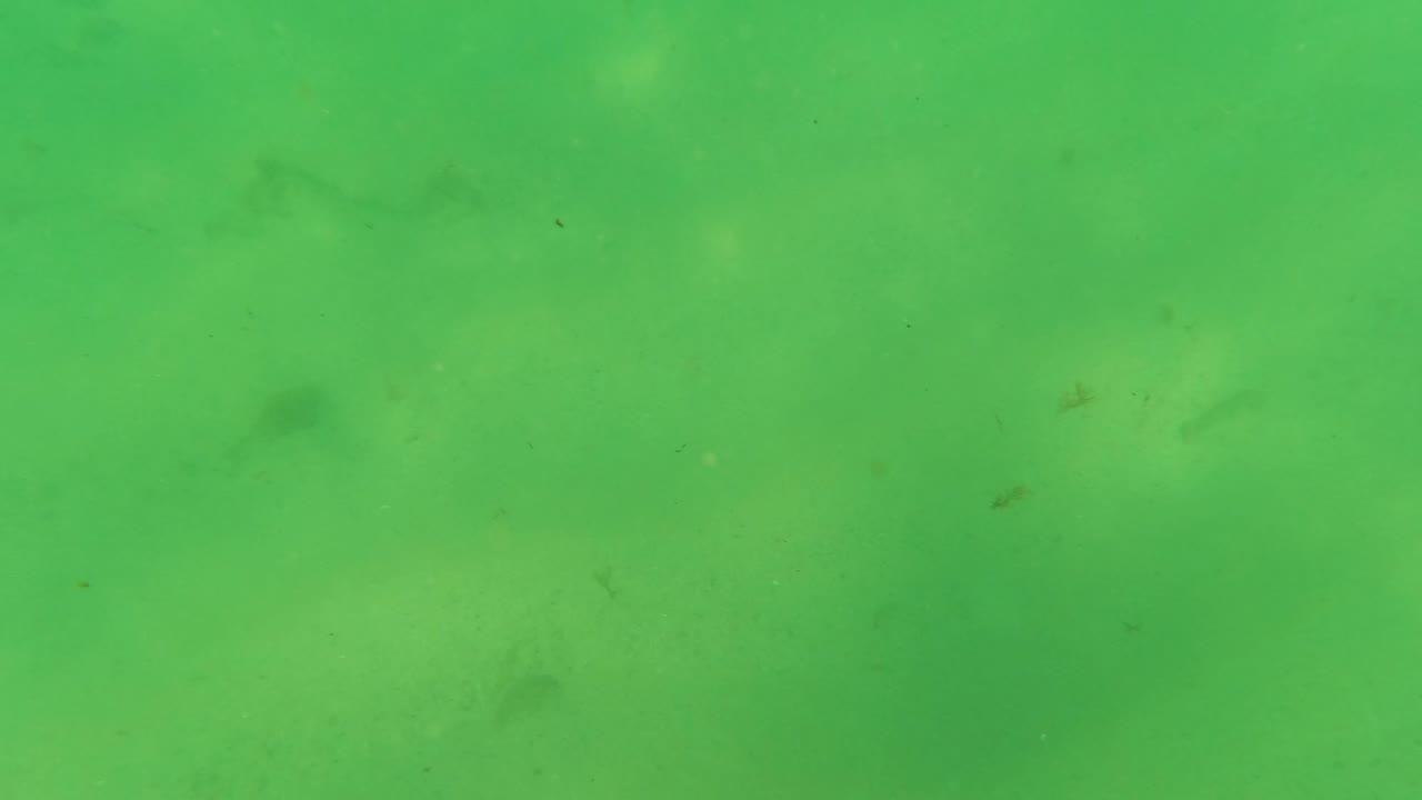 Green underwater view of sandy seabed