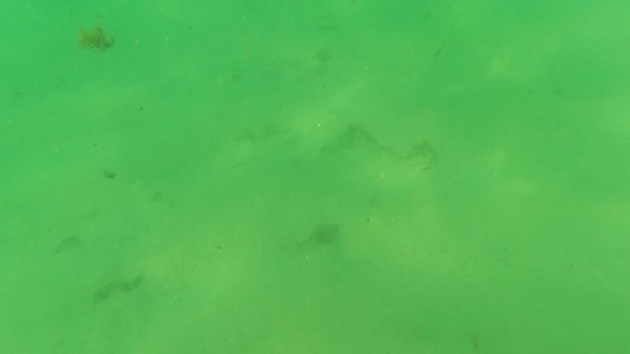 Green water covers a sandy ocean floor in Los Barriles, with soft seabed variations and tiny scattered dark marks, no visible people.