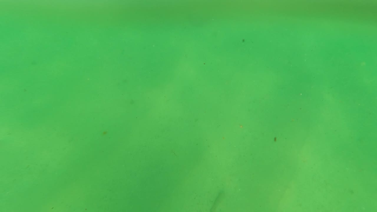 The sandy seafloor remains visible through green water in Los Barriles, with scattered faint specks and no visible people.
