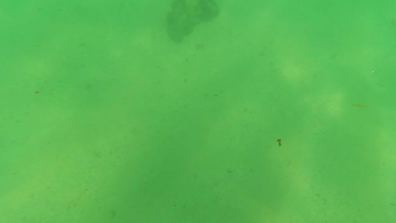 Underwater view in Los Barriles, Baja California Sur, showing green water over pale sand with several dark rocks near the upper edge and no visible people.