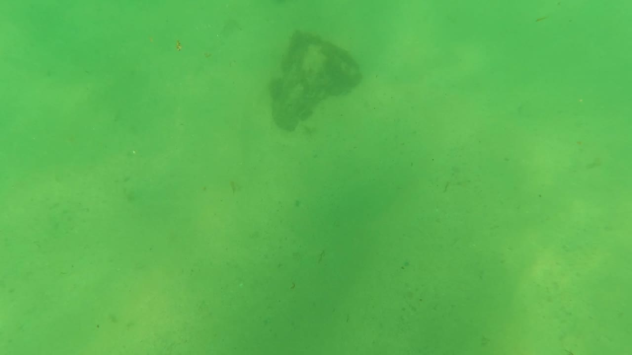 Underwater Los Barriles frame with a large dark rock near the top center, pale sand below, soft surface light, and no visible people.