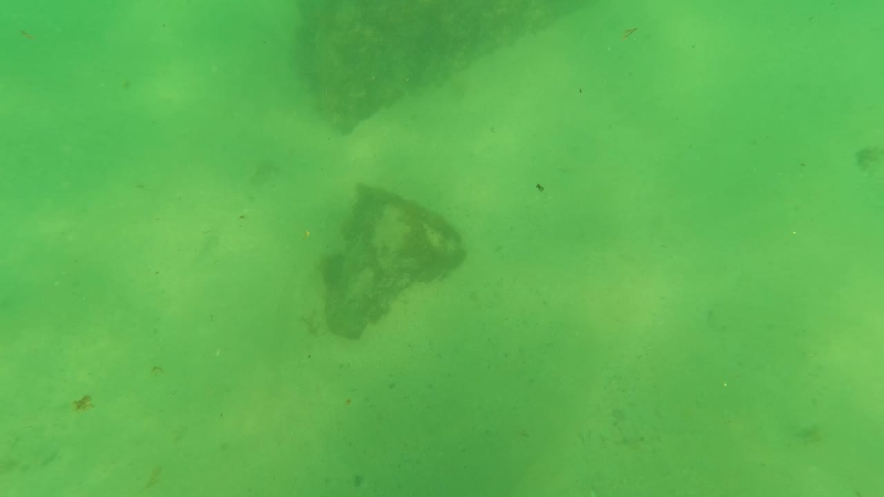 Green underwater frame from Los Barriles with pale sand, a dark rock at the upper right, faint suspended particles, and no visible people.