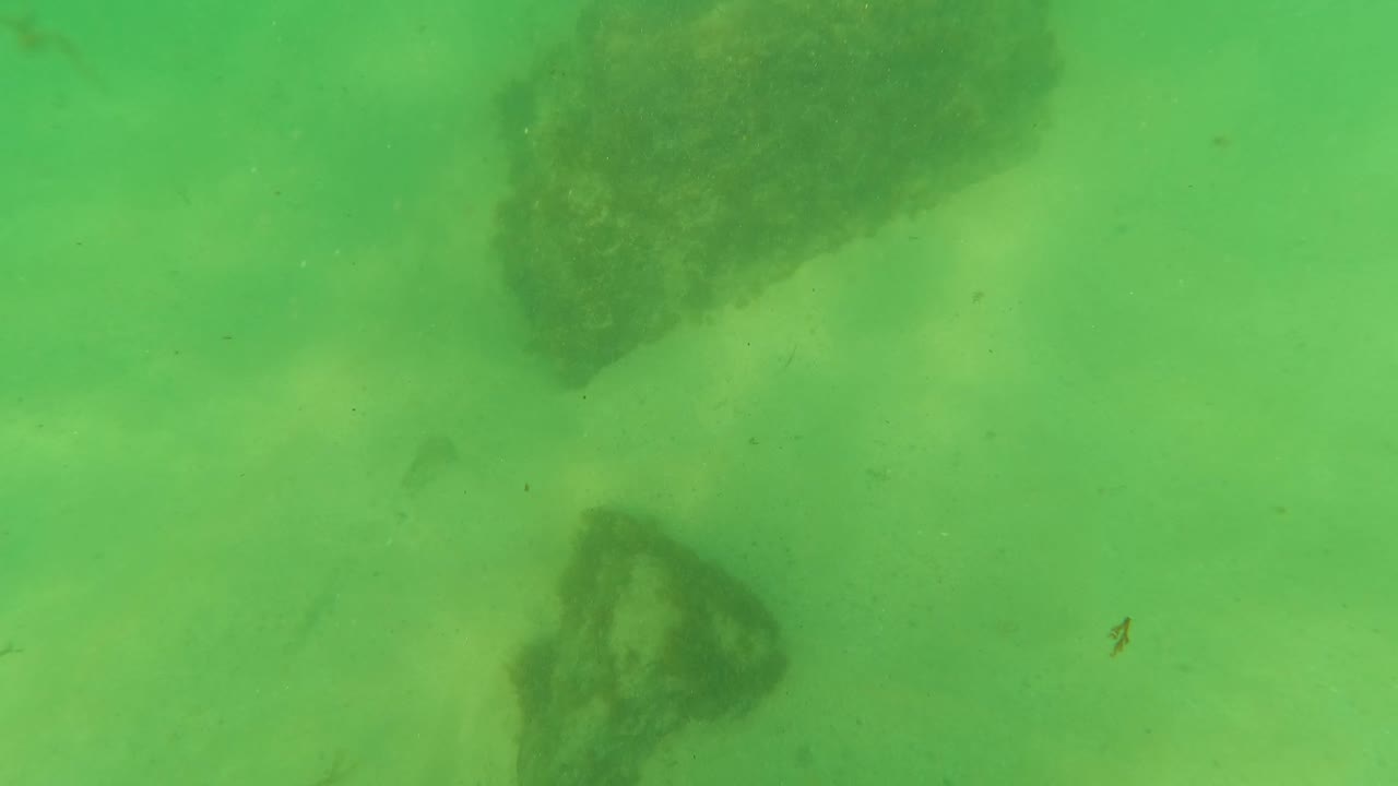 Large dark rock on sandy seabed with small rocks in green water.