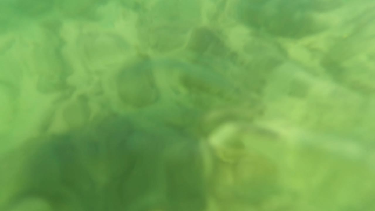 At 0:01, the frame holds on a shallow Los Barriles seabed where rocks and seaweed sit across pale sand beneath green water, with no visible people.