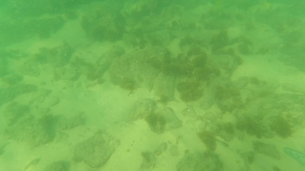 At 0:02, the Los Barriles ocean floor appears through green water with pale sand, uneven rocks, and dark marine vegetation, and no visible people.