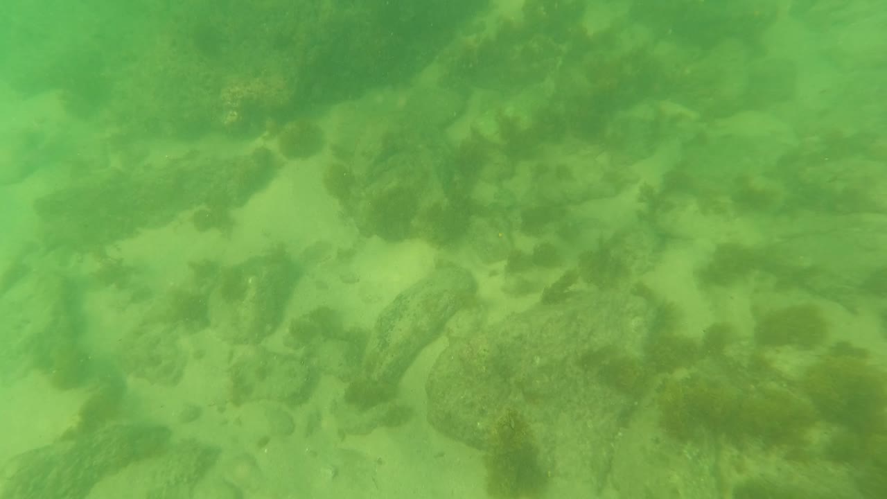 At 0:03, the lower-row frame shows a green-tinted underwater seabed in Los Barriles with rock clusters, sandy gaps, seaweed, and no visible people.