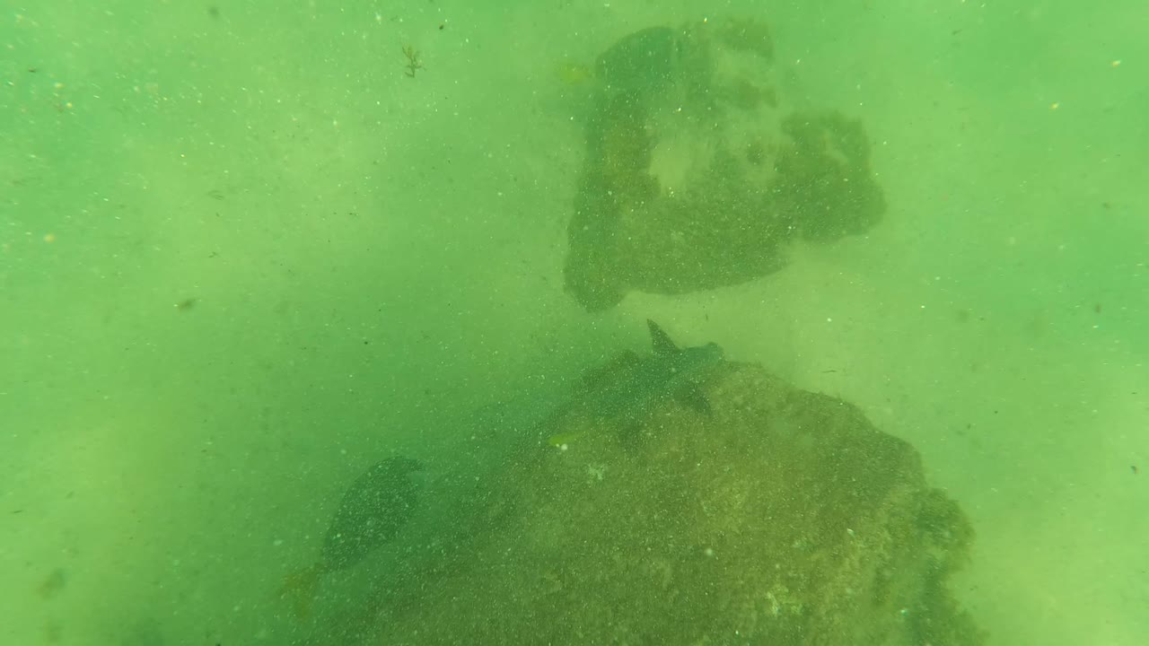 Multiple dark rock forms sit in soft green water while a small fish crosses the midground at Los Barriles, Baja California Sur, with no visible people.