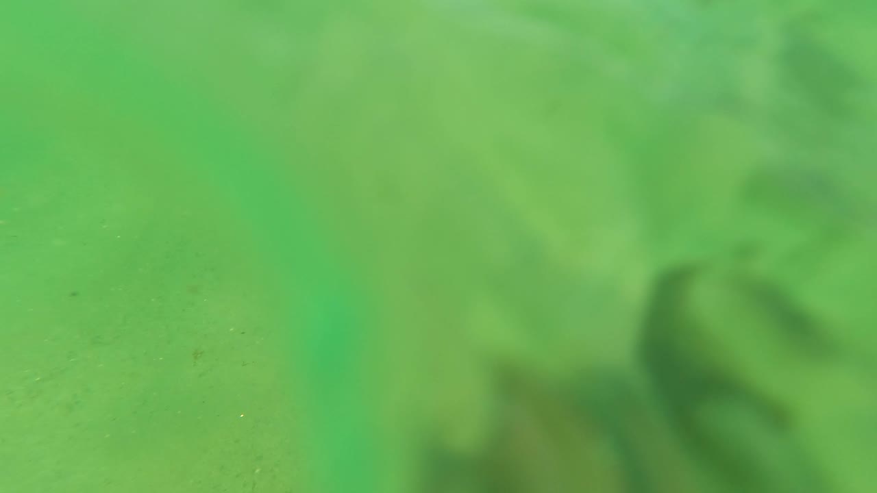 Green underwater view of sandy seabed and soft rocks.