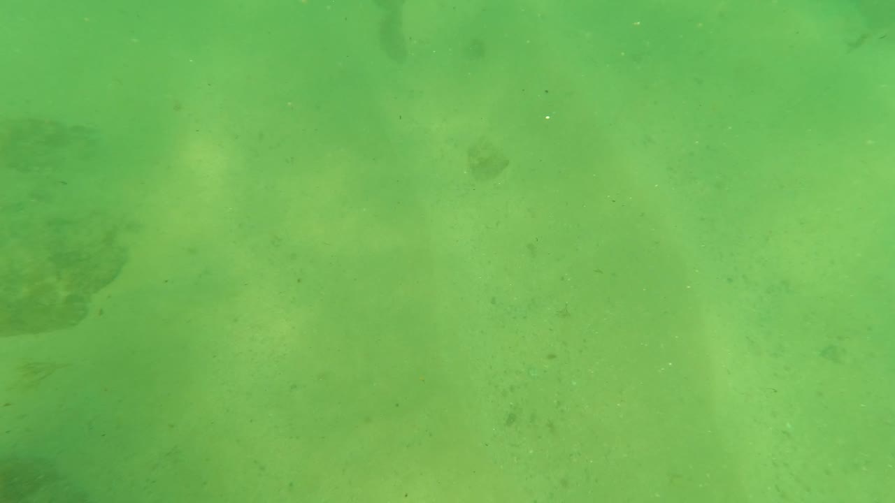 Green underwater frame in Los Barriles, Baja California Sur, showing sandy bottom, scattered rocks, water particles, and no visible people.