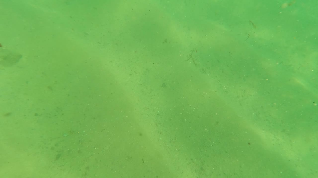 Soft green underwater view over the sandy ocean floor in Los Barriles, Baja California Sur, with faint rocks and drifting particles, and no visible people.