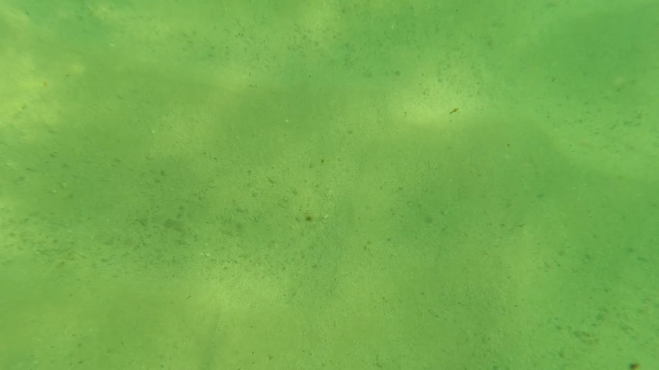 Opening frame of greenish water over a sandy seabed in Los Barriles, Baja California Sur, Mexico, with faint suspended particles and no visible people.