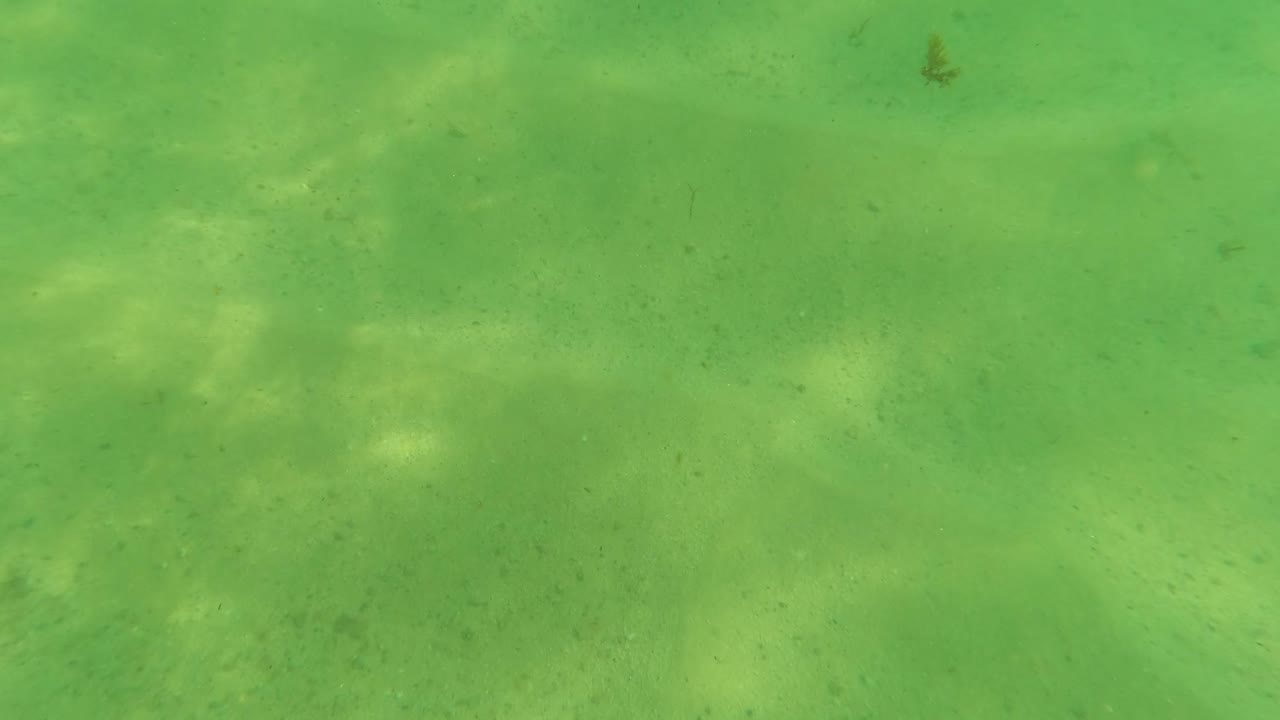 Green underwater frame in Los Barriles, Baja California Sur, Mexico, showing sandy ocean floor texture, small specks in the water, and no visible people.