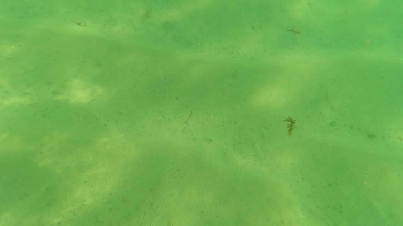 Underwater view in Los Barriles, Baja California Sur, Mexico, with green water, sandy bottom, a small fish-like shape low in frame, and no visible people.