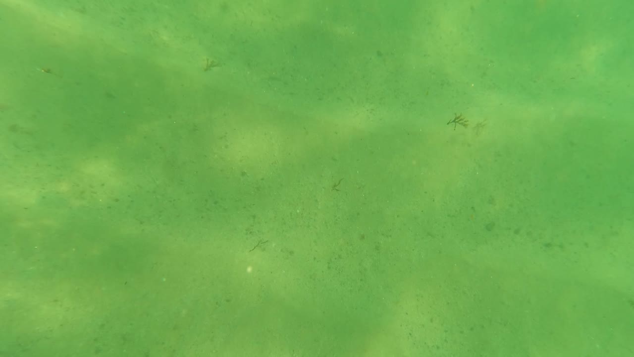 Mid-clip underwater frame from Los Barriles, Baja California Sur, Mexico, showing green water, sandy seabed, small fish shapes, drifting particles, and no visible people.