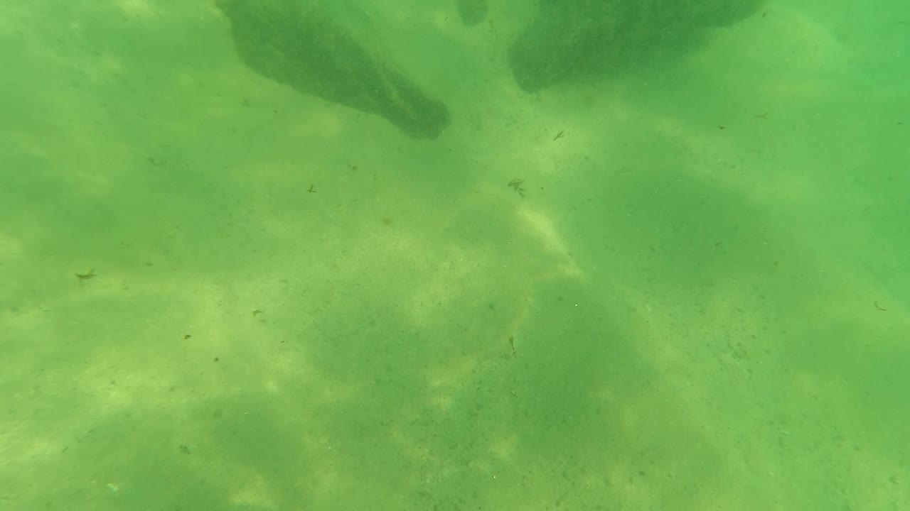 Green underwater frame from Los Barriles, Baja California Sur showing sandy seabed, dark rocks along the upper edge, scattered debris, and no visible people.