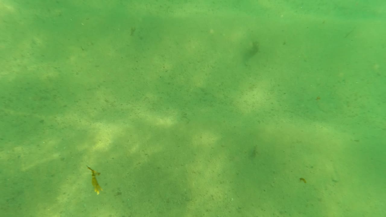 Underwater sandy floor with a central rock and green surface light patterns.