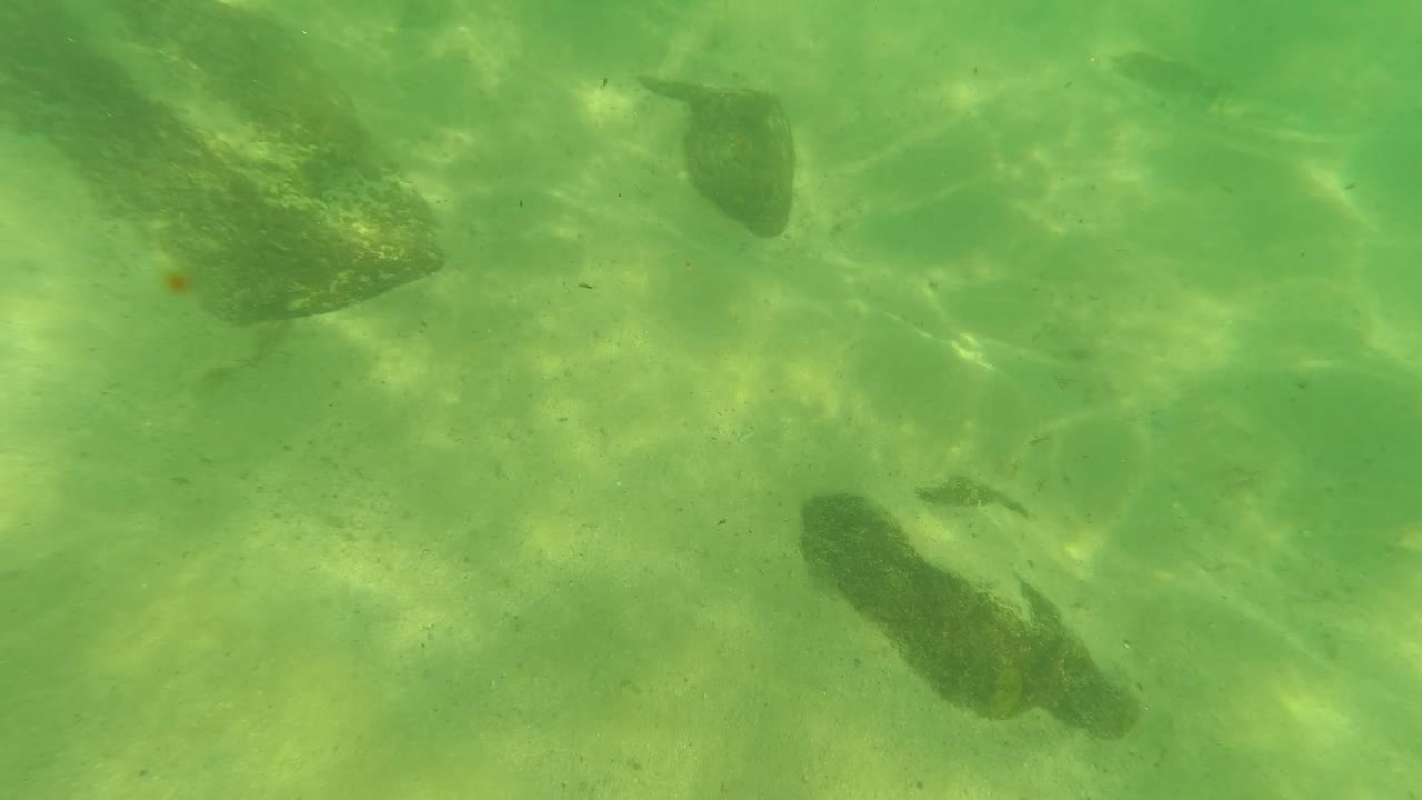 At 0:01 in Los Barriles, Baja California Sur, the underwater view shows a sandy seabed, scattered dark rocks, green water, and sunlit ripples, with no visible people.