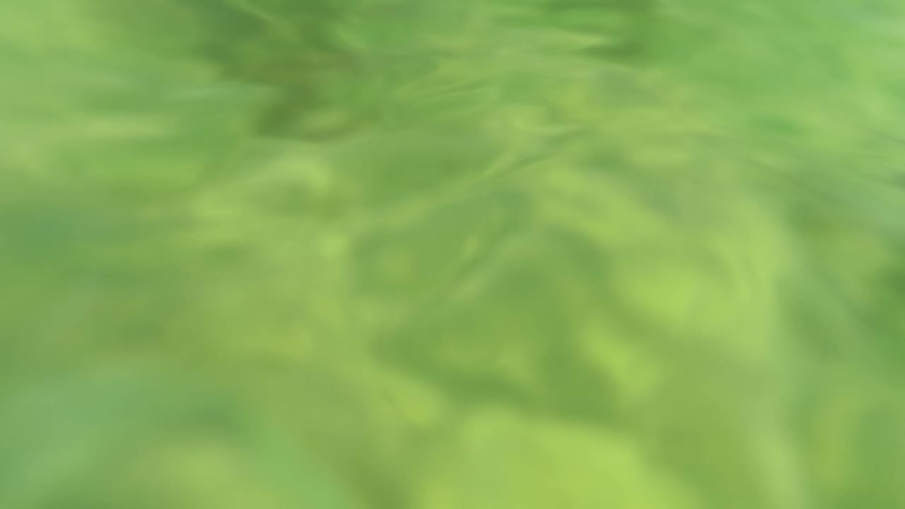 At 0:03 in Los Barriles, Baja California Sur, the underwater image is soft and green with blurred striped fish shapes near the left side and sandy bottom below, with no visible people.