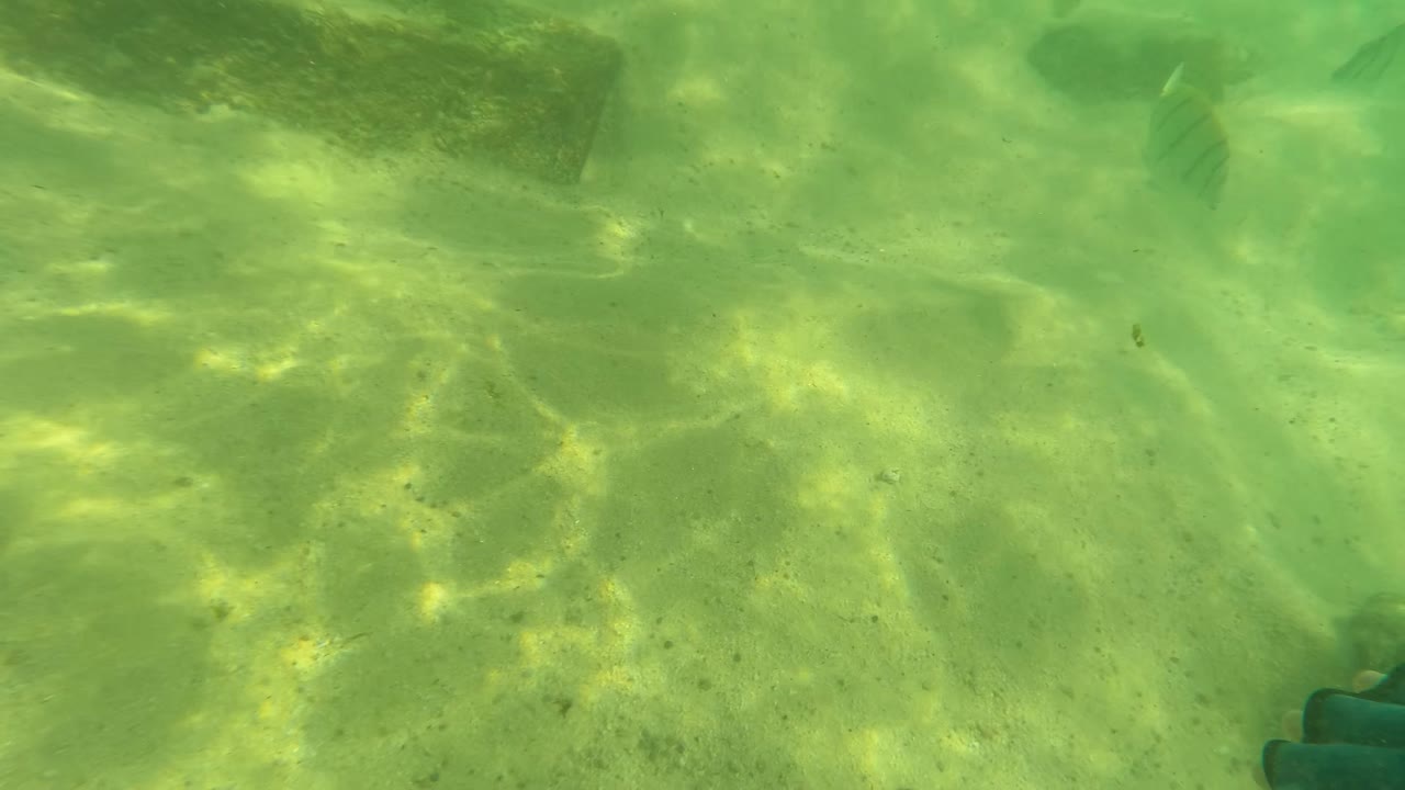 At 0:00 in Los Barriles, Baja California Sur, a blue gloved hand appears underwater over pale sand, rocks, and small striped fish, with no visible people or faces.