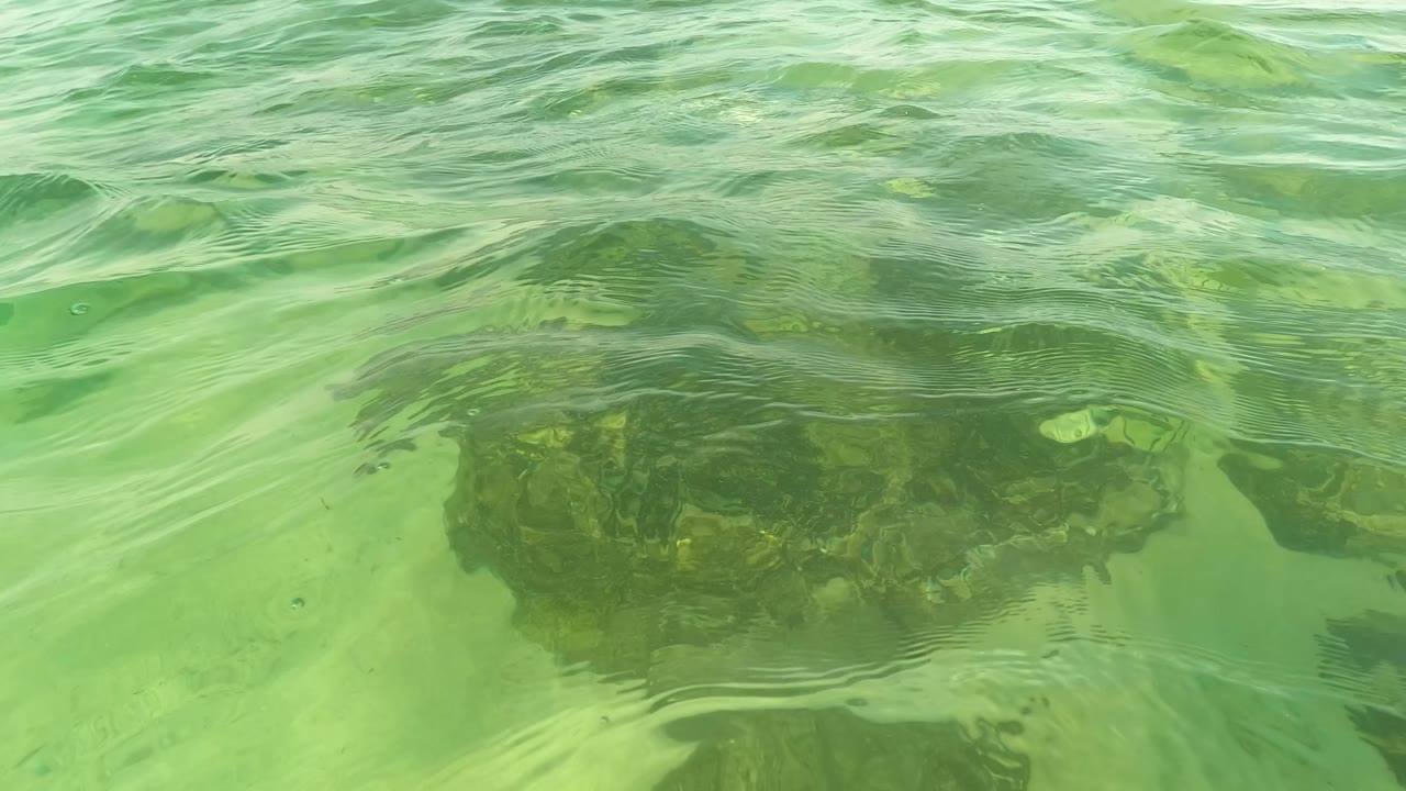Green water surface ripples above dark underwater rocks.