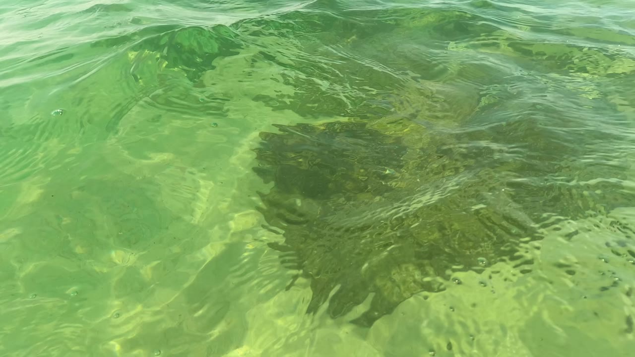 Clear green water at Los Barriles reveals submerged rocks beneath a bright, rippled surface, with no visible people in this frame.