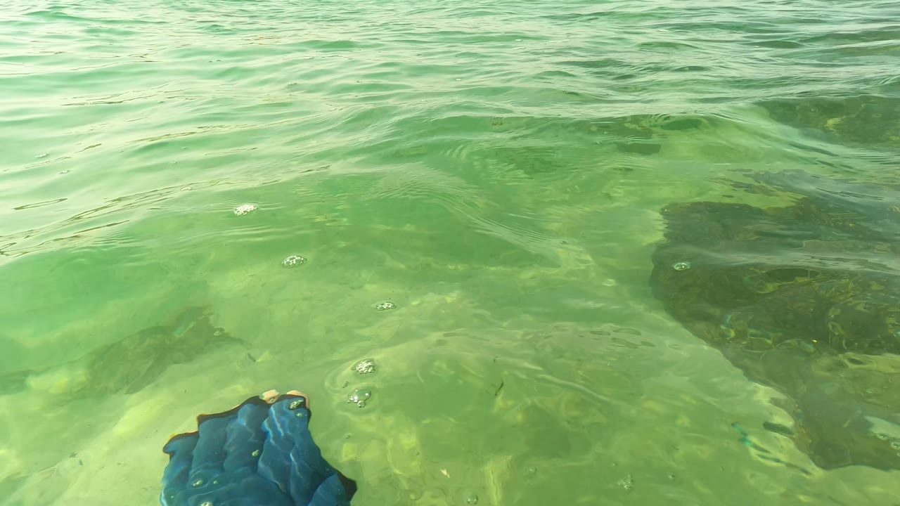 Ocean surface view with submerged rocks and distant swimmers.