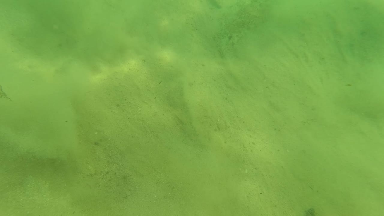Underwater frame from Los Barriles, Baja California Sur, with a small fish moving over pale sand, rounded rocks in the background, suspended debris, and no visible people.