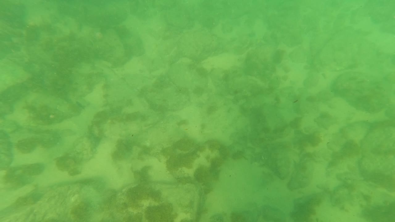 Green underwater view of rocks, sand, and algae on the seabed