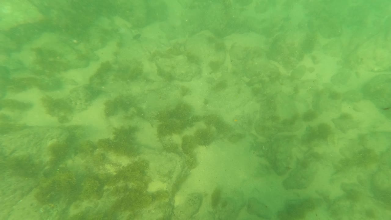 Second frame from Los Barriles with more clustered rocks visible through green-tinted water, pale sand between them, algae growth, and no visible people.