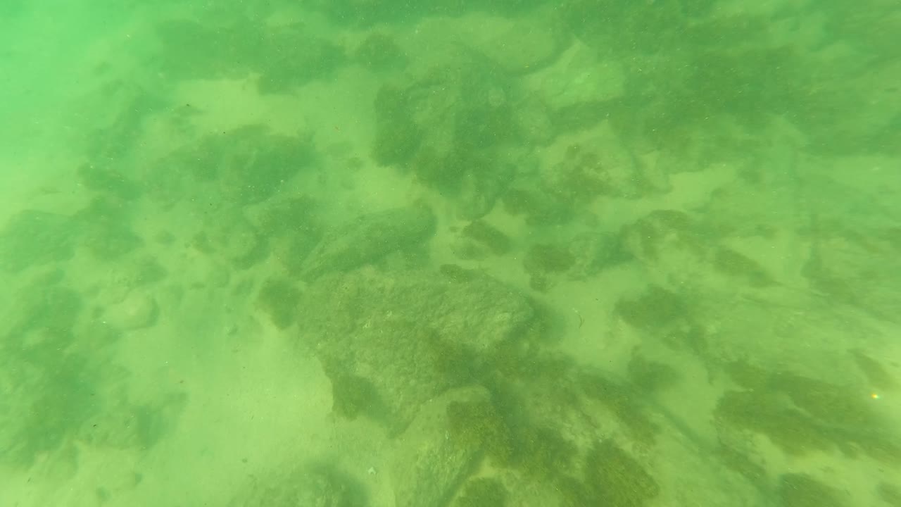 Mid-clip frame showing the Los Barriles ocean floor with pale sandy gaps, darker algae patches on rocks, soft filtered light, and no visible people.